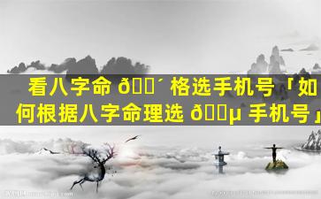 看八字命 🐴 格选手机号「如何根据八字命理选 🐵 手机号」